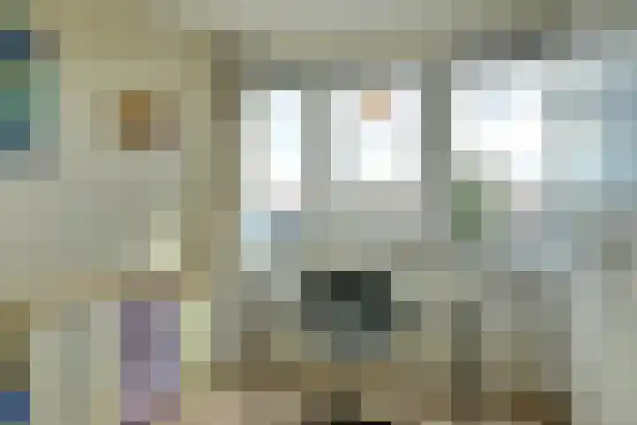 Regelhaalder 110 Warmenhuizen thumbnail 16