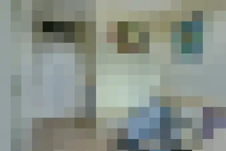 Regelhaalder 110 Warmenhuizen thumbnail 17