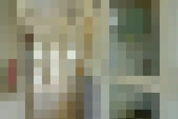 Regelhaalder 110 Warmenhuizen thumbnail 20