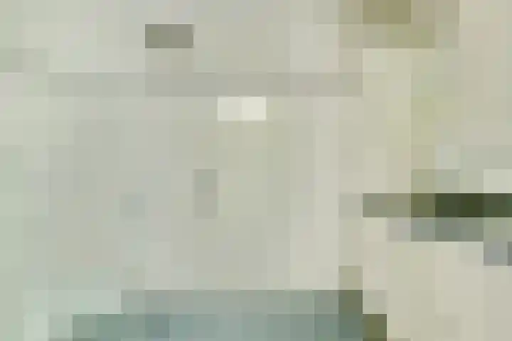 Regelhaalder 110 Warmenhuizen thumbnail 23