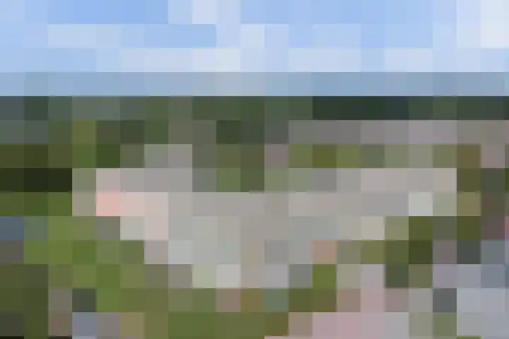 Regelhaalder 110 Warmenhuizen thumbnail 32