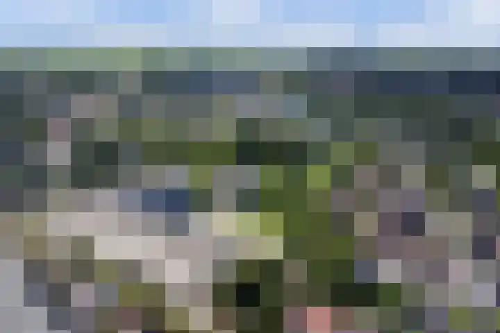 Regelhaalder 110 Warmenhuizen thumbnail 33