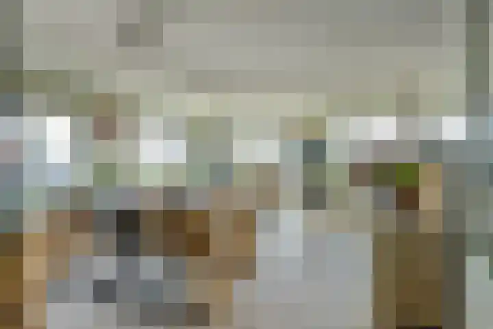 Regelhaalder 110 Warmenhuizen thumbnail 6