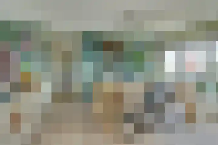 Regelhaalder 110 Warmenhuizen thumbnail 8