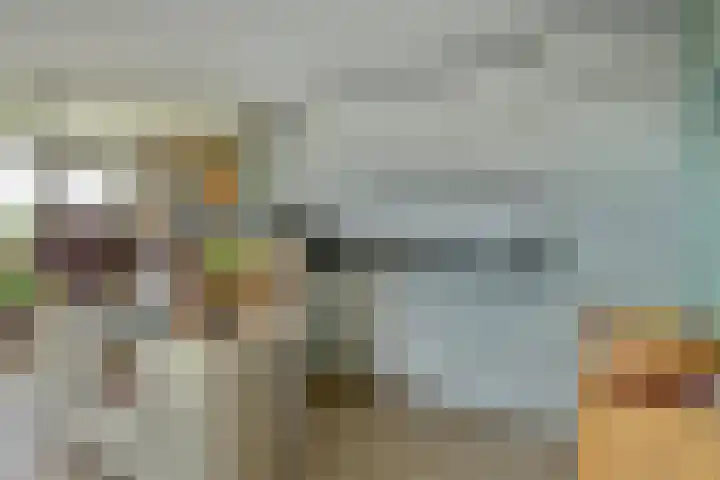 Regelhaalder 110 Warmenhuizen thumbnail 9