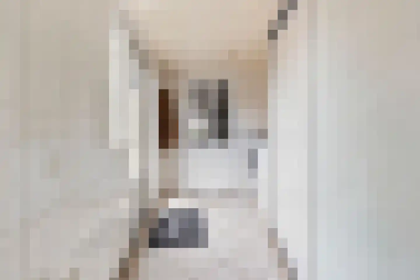 Regelhaalder 15 Warmenhuizen thumbnail 14