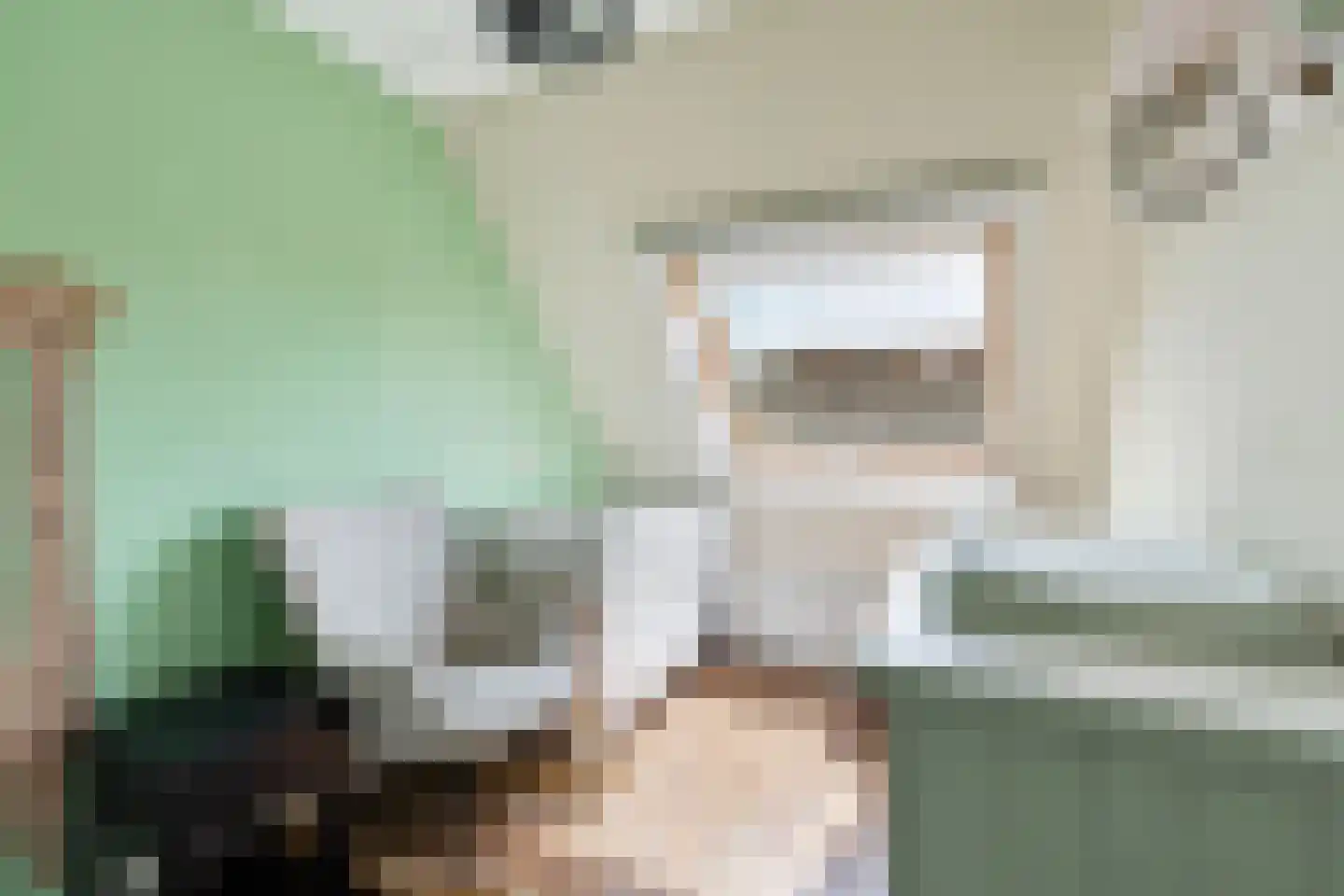 Regelhaalder 15 Warmenhuizen thumbnail 21