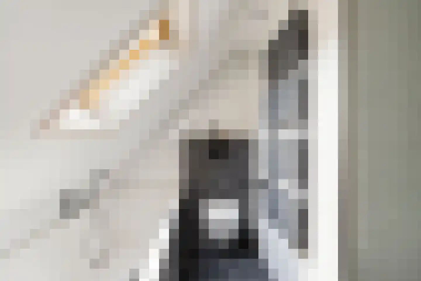 Regelhaalder 15 Warmenhuizen thumbnail 24