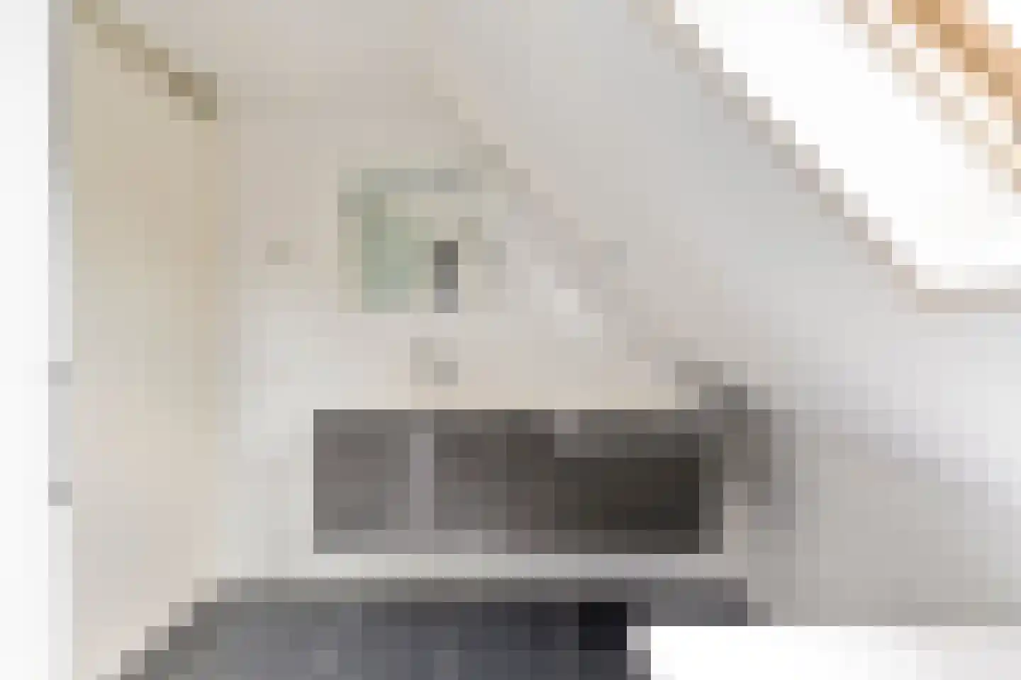 Regelhaalder 15 Warmenhuizen thumbnail 26