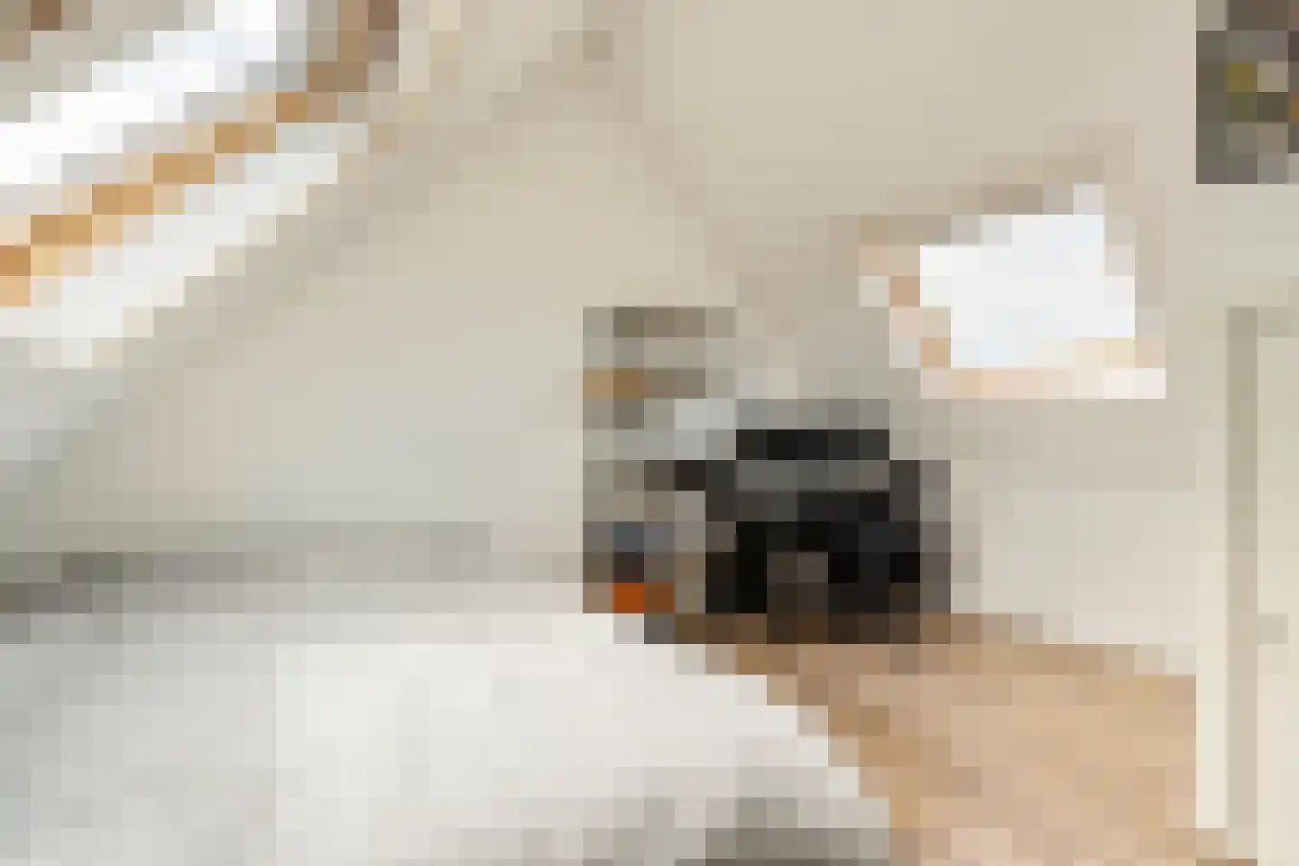 Regelhaalder 15 Warmenhuizen thumbnail 27