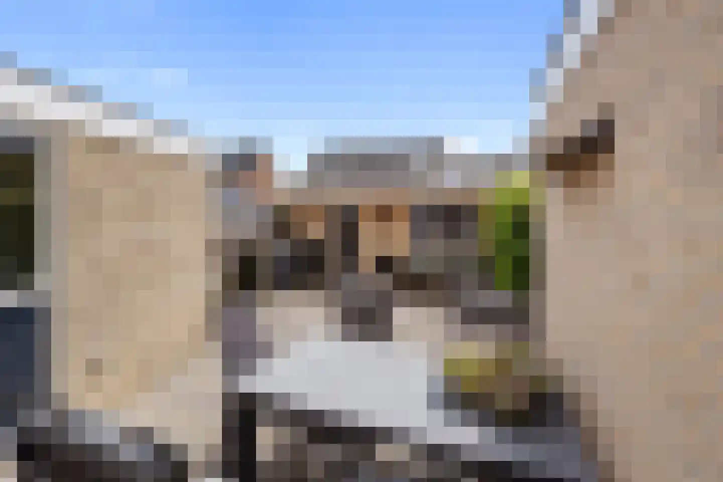 Regelhaalder 15 Warmenhuizen thumbnail 29