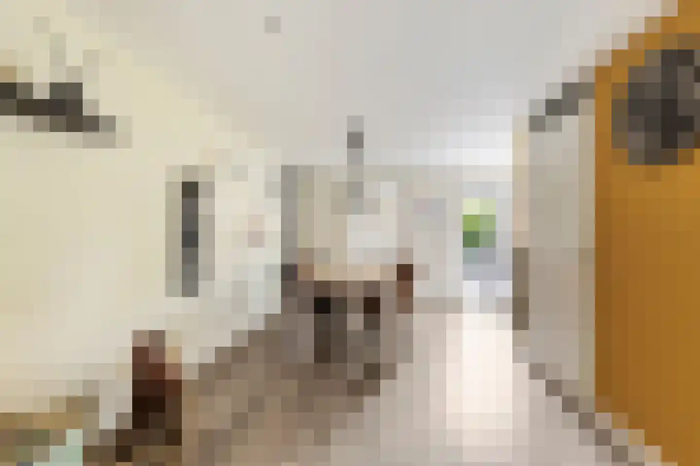 Regelhaalder 15 Warmenhuizen thumbnail 6