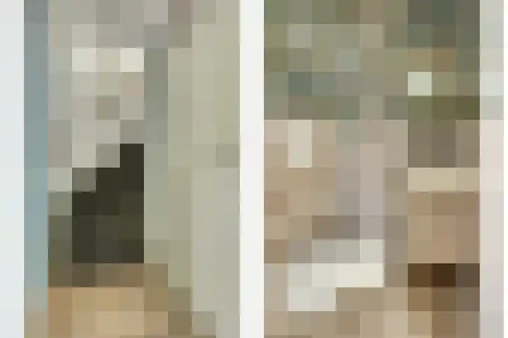 Regelhaalder 7 Warmenhuizen thumbnail 11