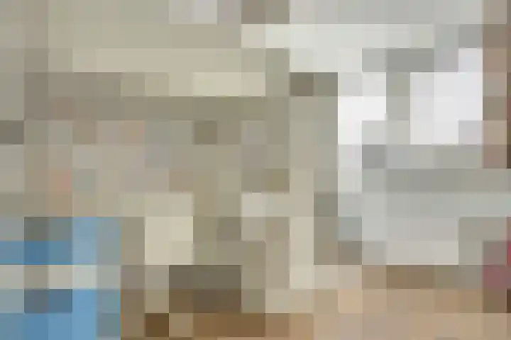 Regelhaalder 7 Warmenhuizen thumbnail 13