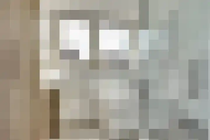 Regelhaalder 7 Warmenhuizen thumbnail 15