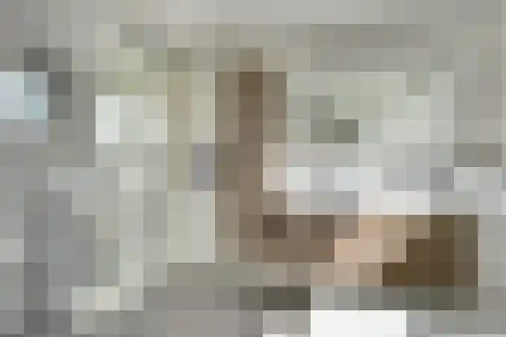 Regelhaalder 7 Warmenhuizen thumbnail 16