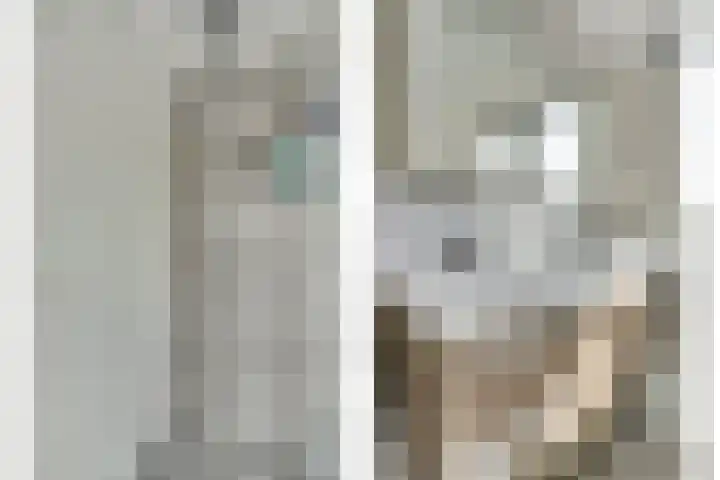 Regelhaalder 7 Warmenhuizen thumbnail 17