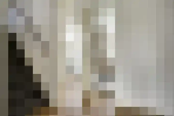 Regelhaalder 7 Warmenhuizen thumbnail 18