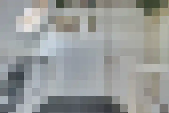 Regelhaalder 7 Warmenhuizen thumbnail 19