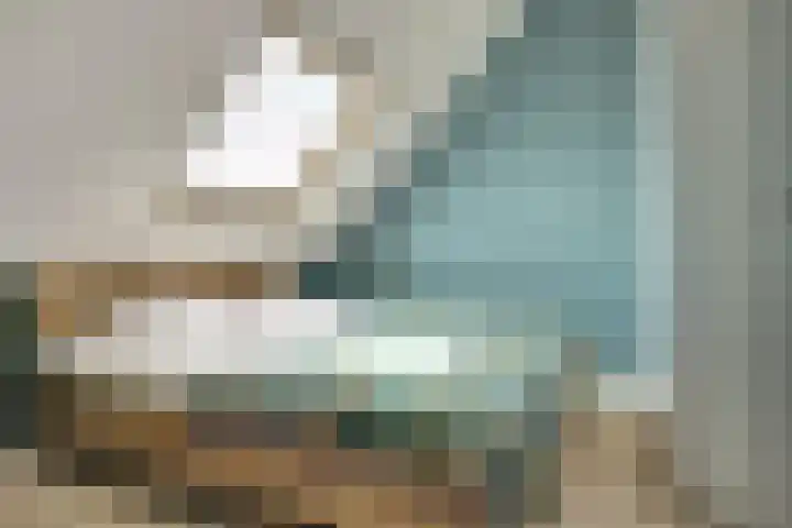 Regelhaalder 7 Warmenhuizen thumbnail 20