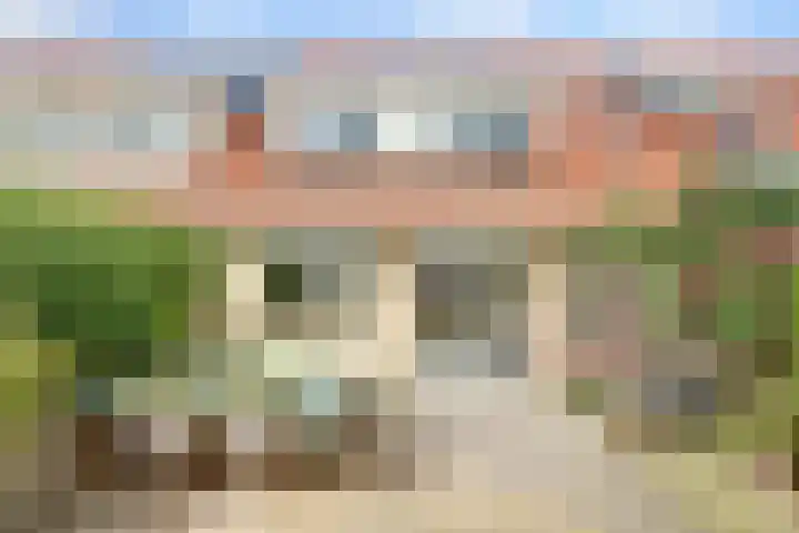 Regelhaalder 7 Warmenhuizen thumbnail 22