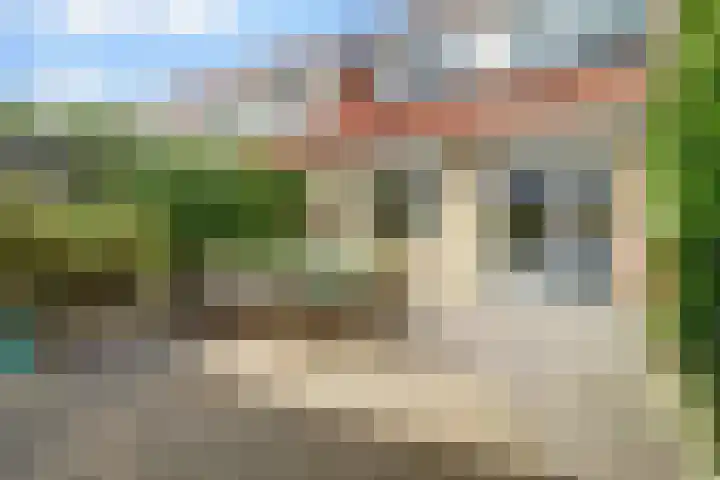 Regelhaalder 7 Warmenhuizen thumbnail 23