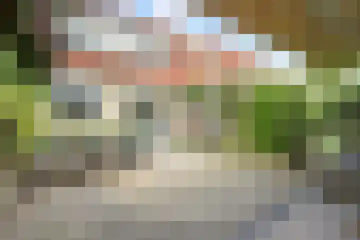 Regelhaalder 7 Warmenhuizen thumbnail 25