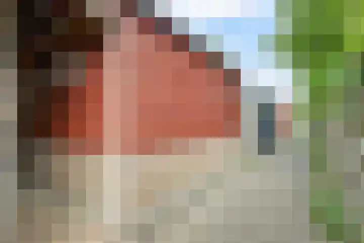 Regelhaalder 7 Warmenhuizen thumbnail 26