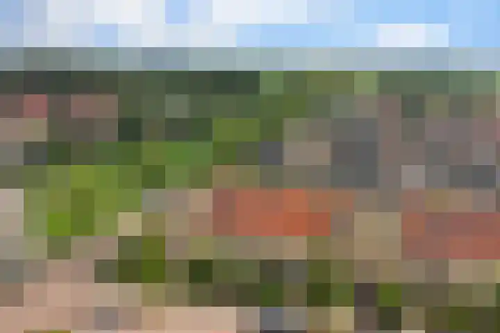 Regelhaalder 7 Warmenhuizen thumbnail 28