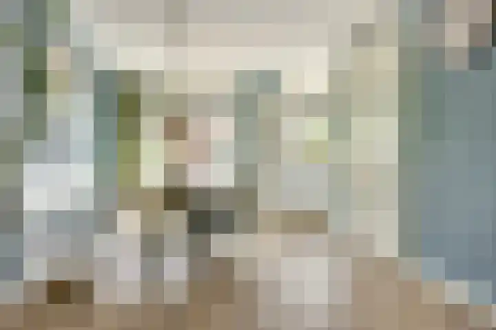 Regelhaalder 7 Warmenhuizen thumbnail 6