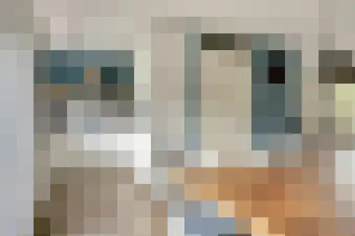 Regelhaalder 7 Warmenhuizen thumbnail 8