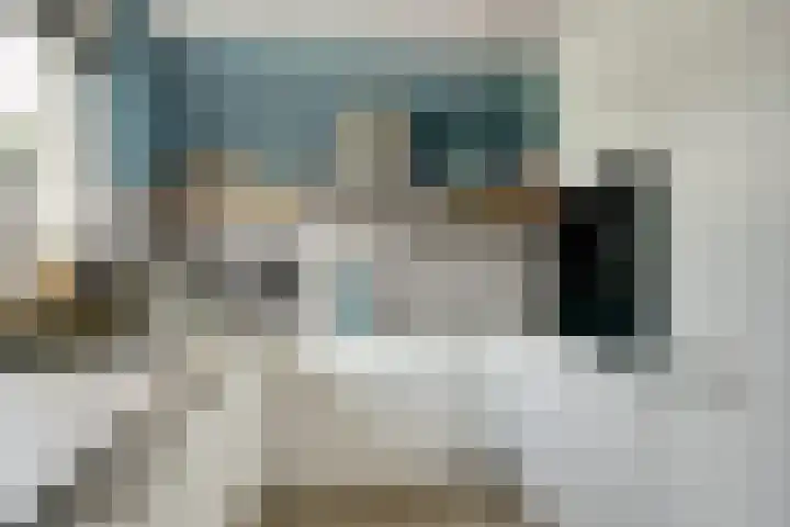 Regelhaalder 7 Warmenhuizen thumbnail 9