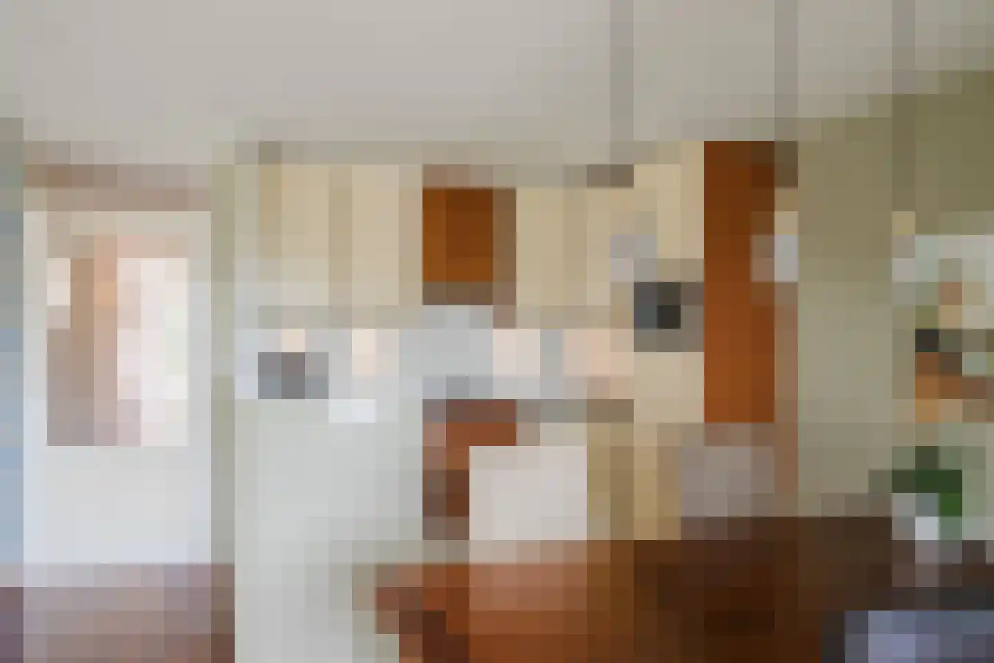 Regelhaalder 94 Warmenhuizen thumbnail 17