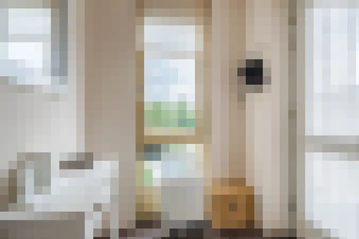 Regelhaalder 94 Warmenhuizen thumbnail 22