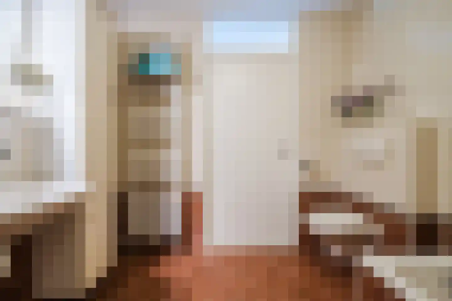Regelhaalder 94 Warmenhuizen thumbnail 30