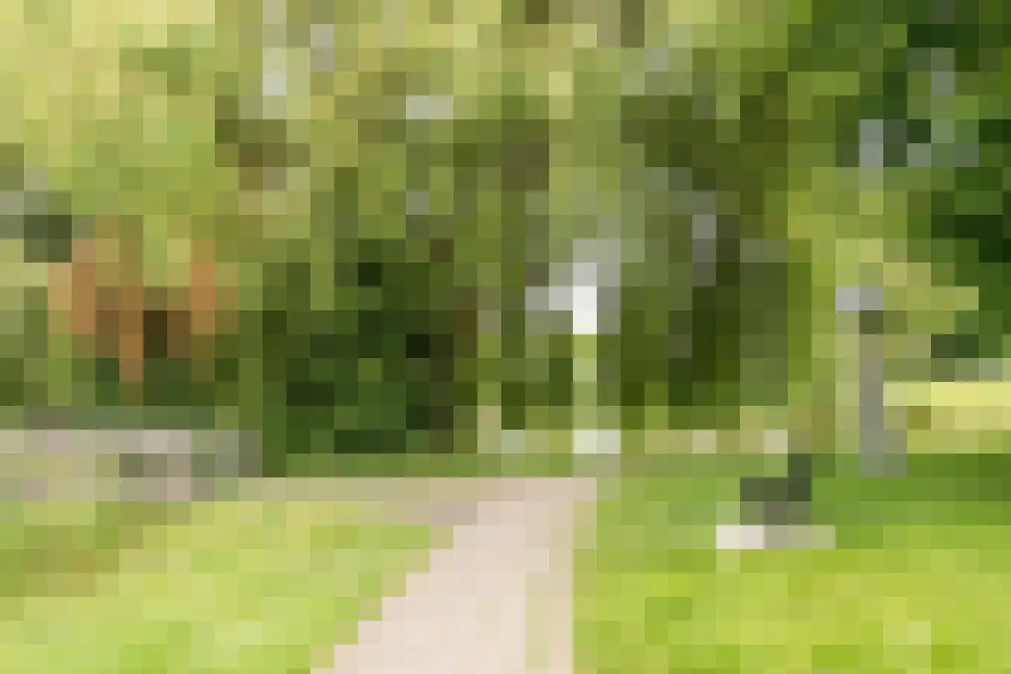 Regelhaalder 94 Warmenhuizen thumbnail 42