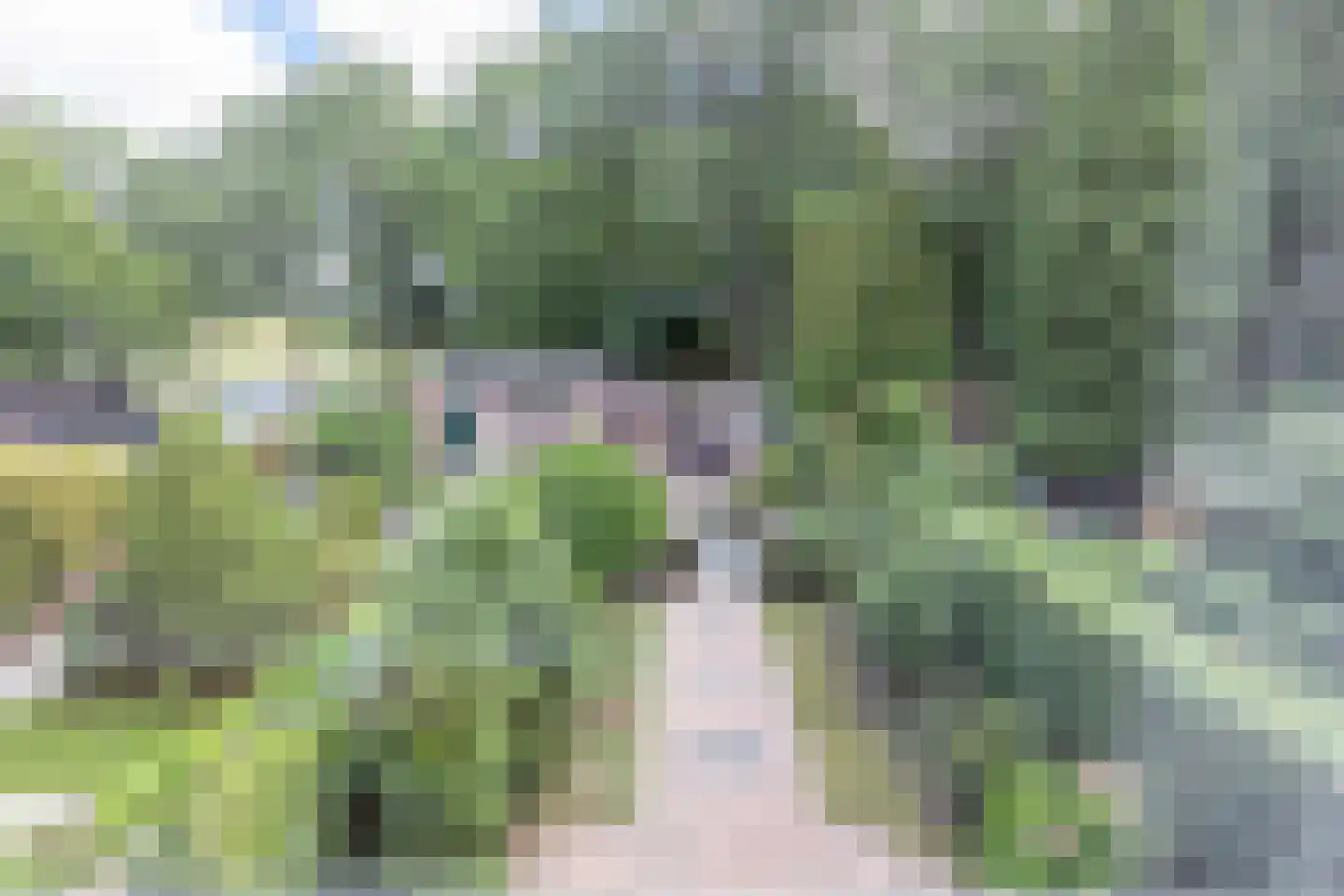 Regelinkplein 2 Amersfoort thumbnail 23