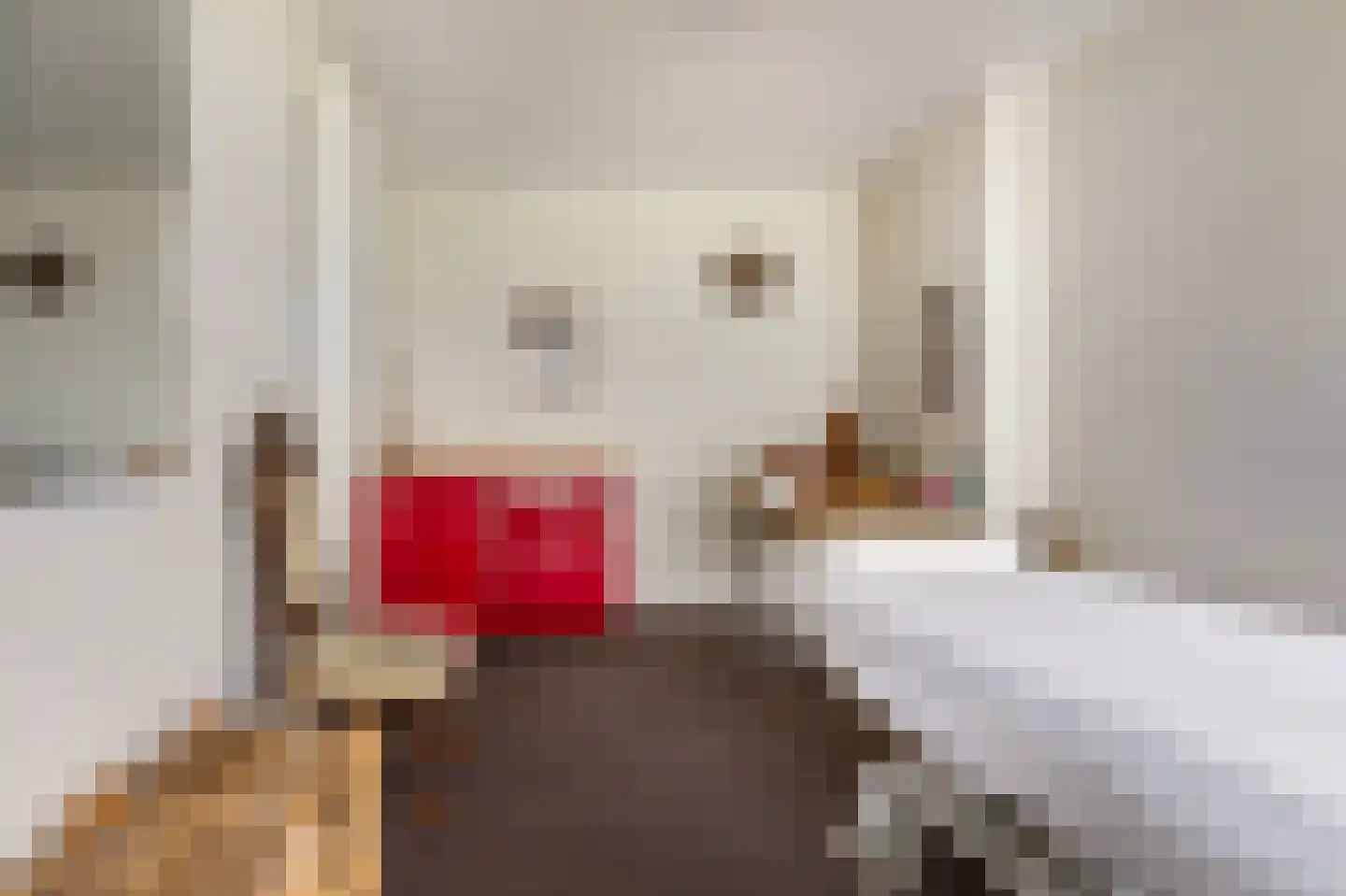 Regenboog 105 Elst thumbnail 17