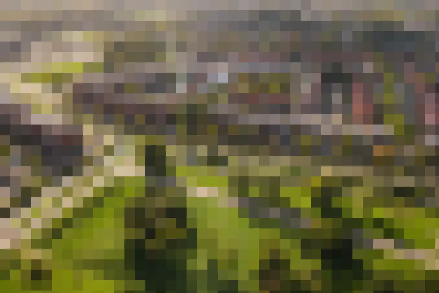 Regenboog 105 Elst thumbnail 4