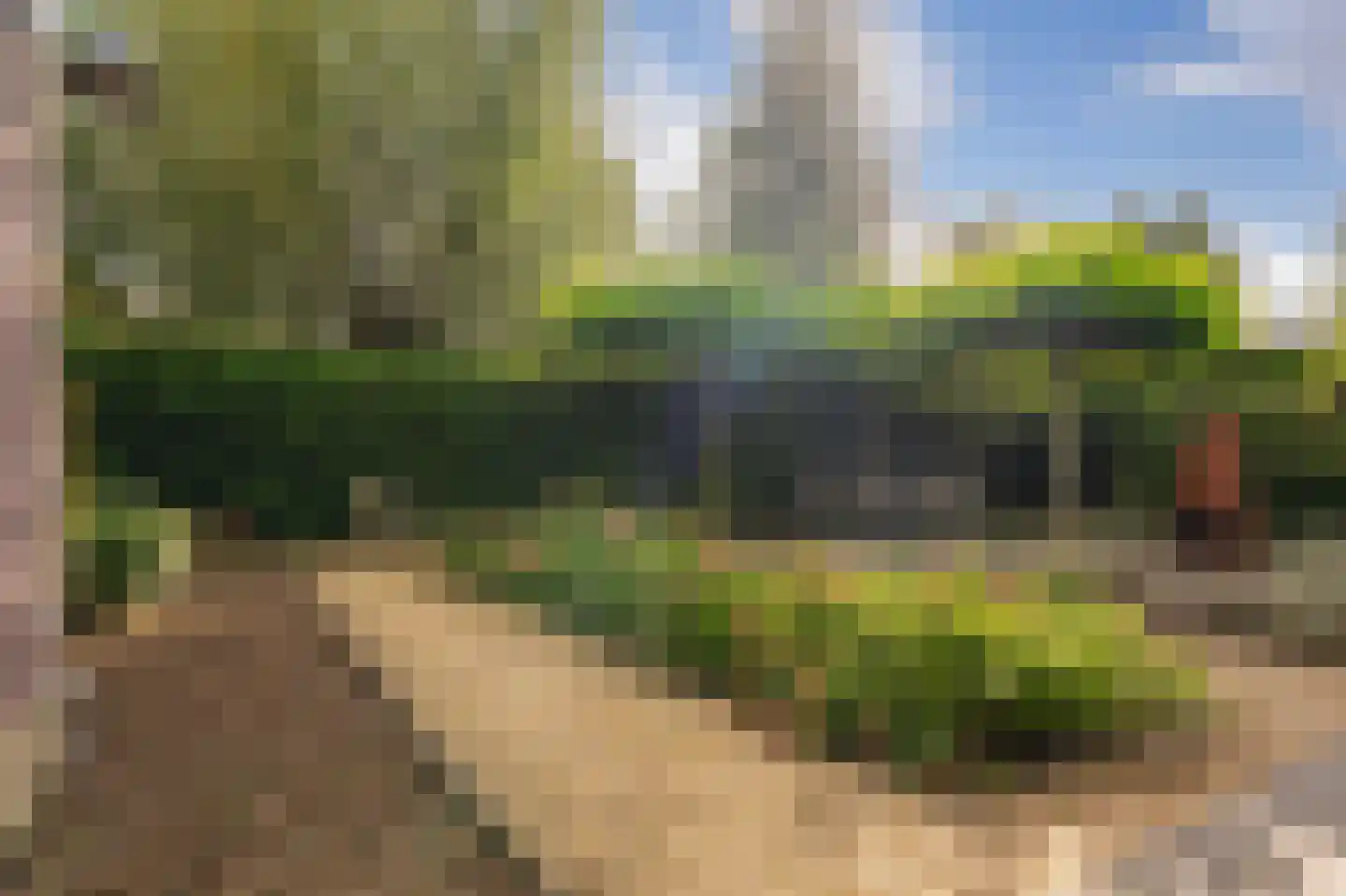 Regenboog 105 Elst thumbnail 41