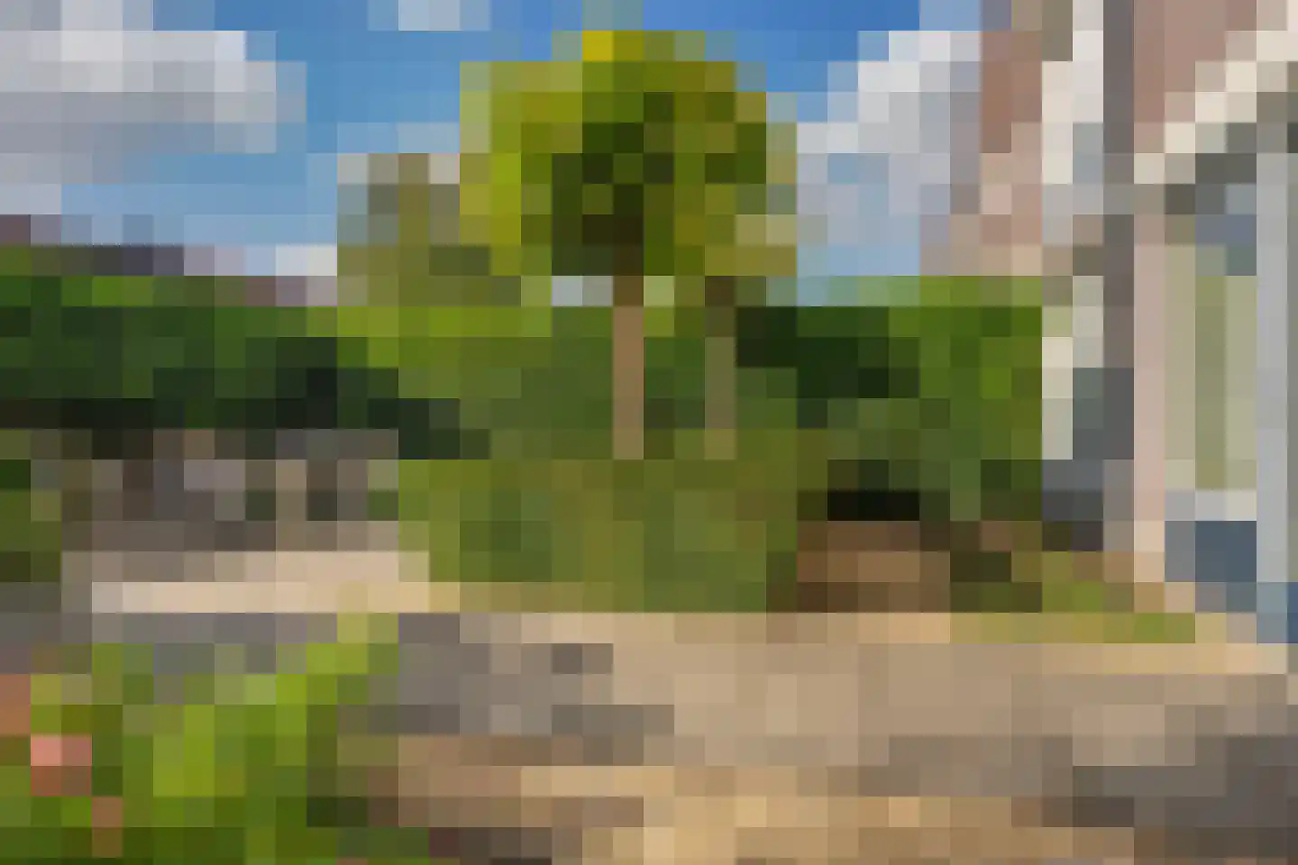 Regenboog 105 Elst thumbnail 42