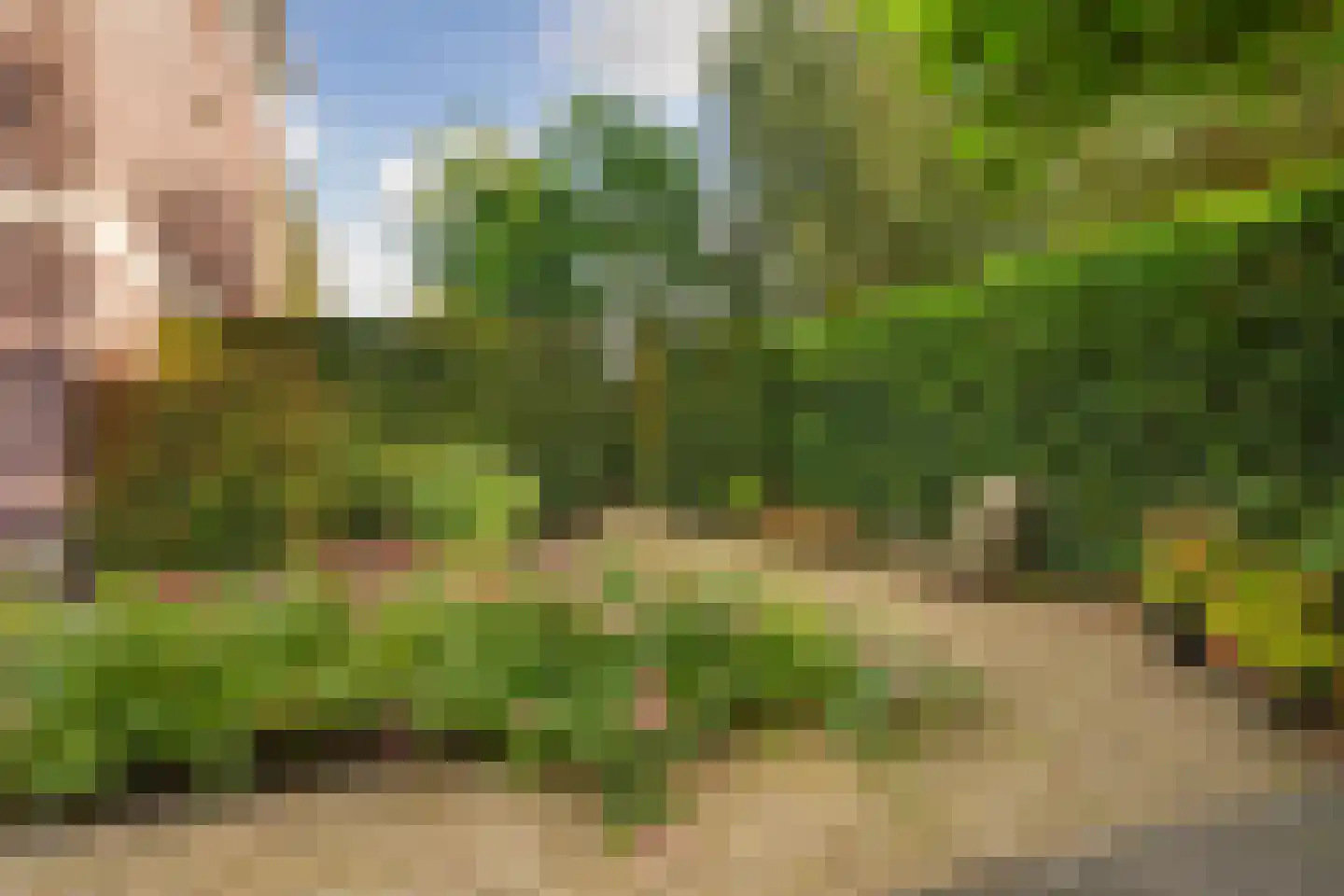 Regenboog 105 Elst thumbnail 44