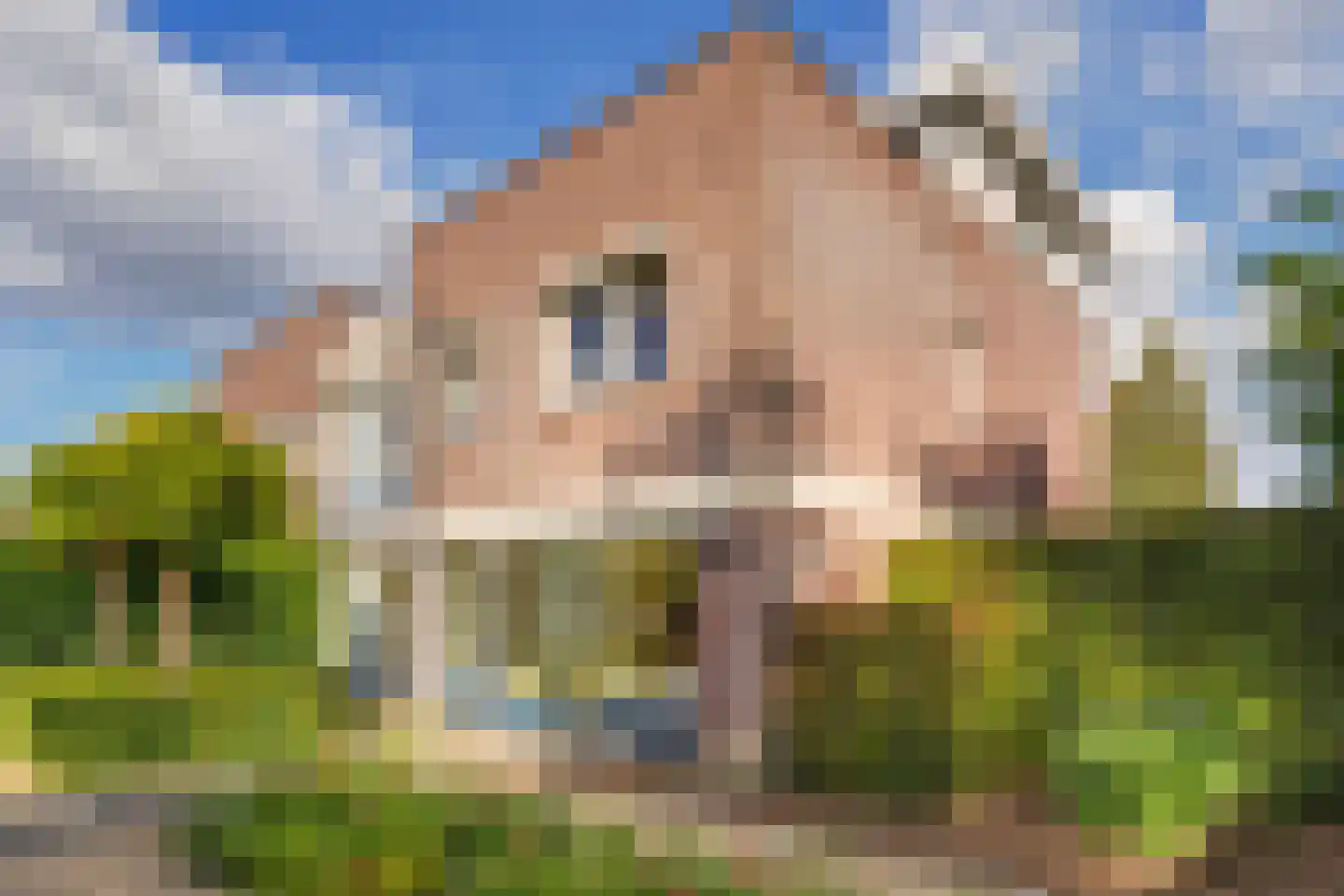 Regenboog 105 Elst thumbnail 46
