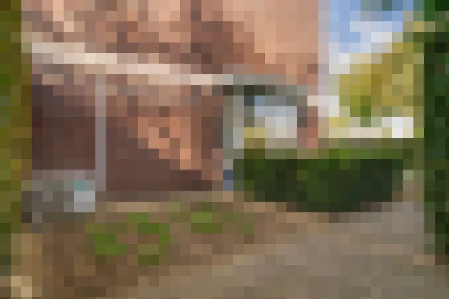 Regenboog 105 Elst thumbnail 47