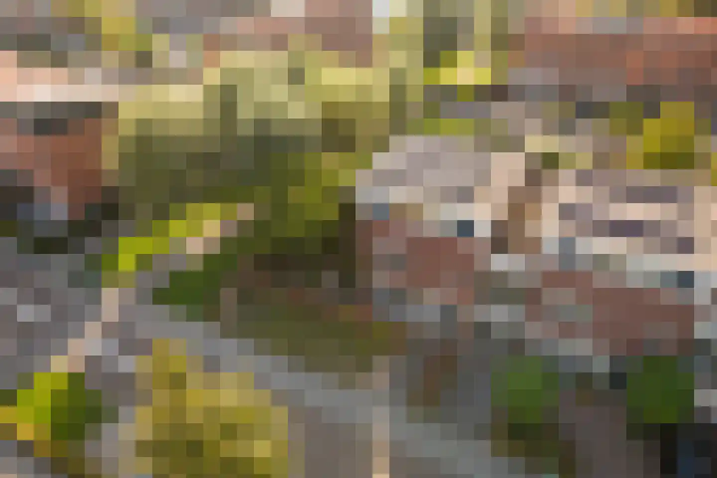 Regenboog 105 Elst thumbnail 53