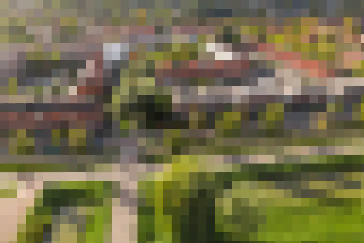Regenboog 105 Elst thumbnail 55