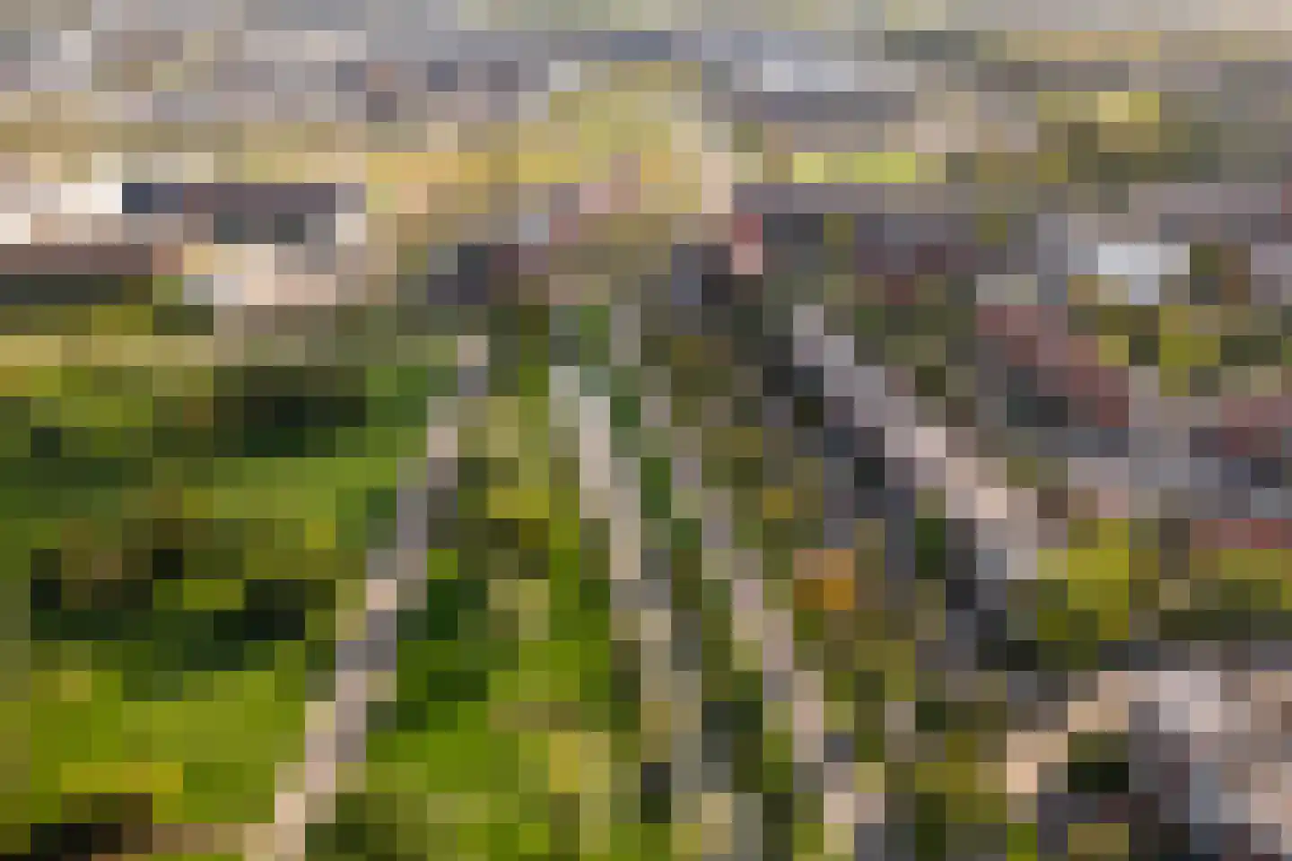 Regenboog 105 Elst thumbnail 57