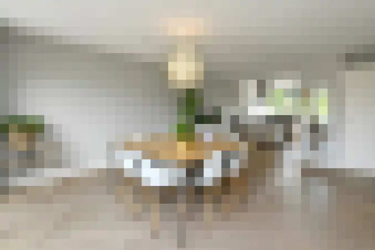Regenboog 117 Elst thumbnail 11