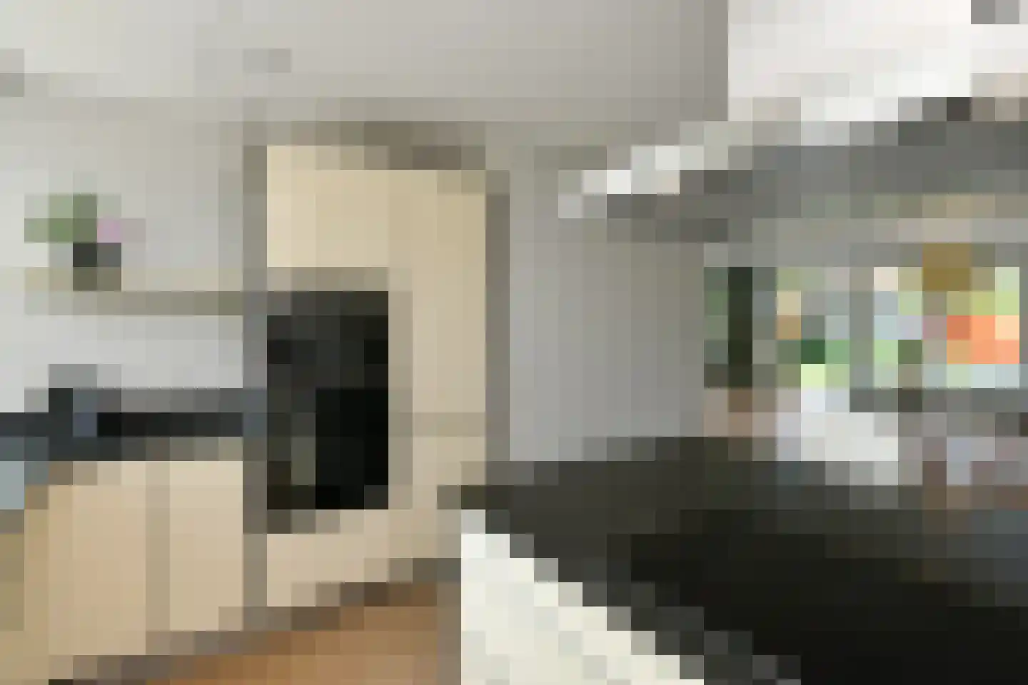 Regenboog 117 Elst thumbnail 16