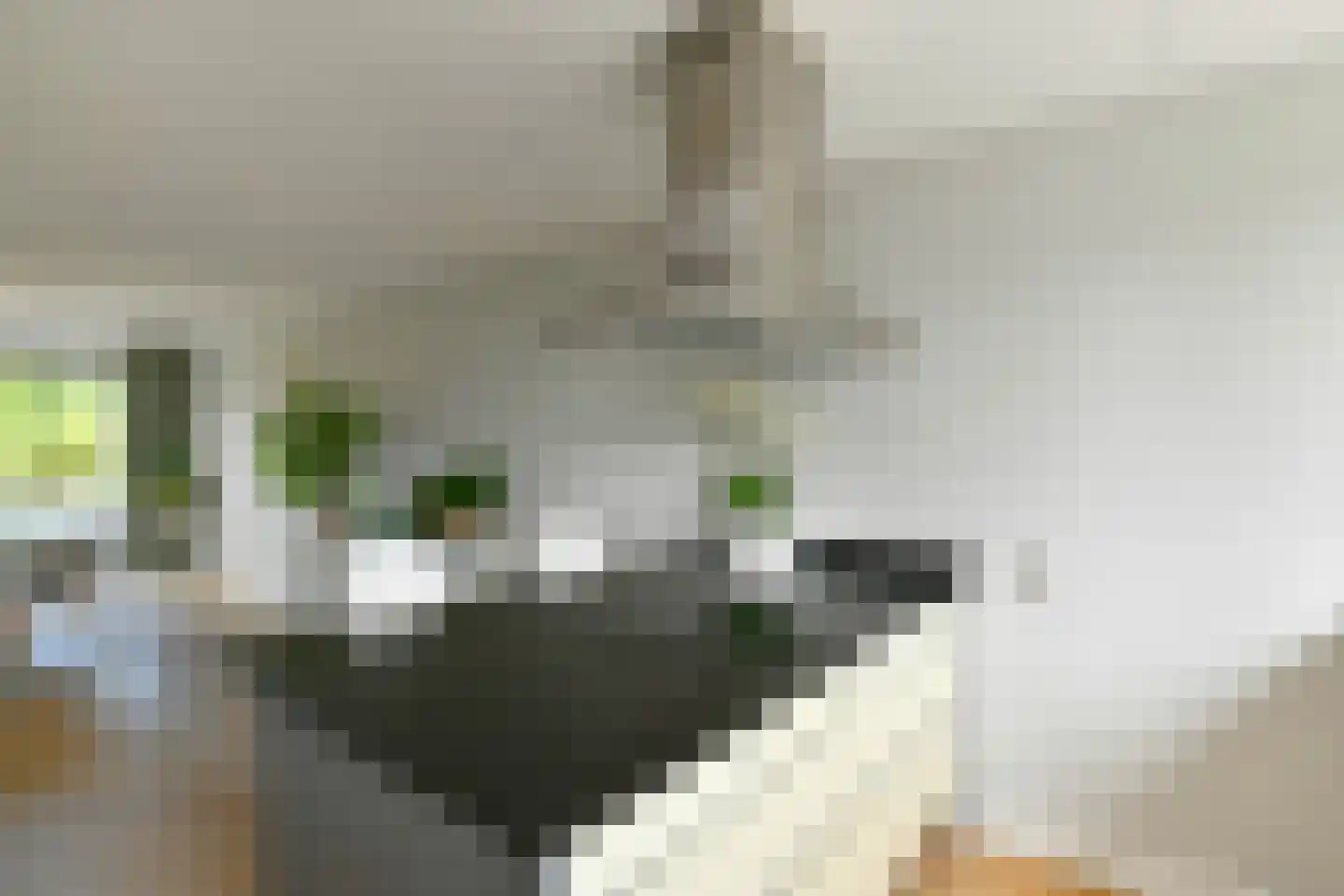 Regenboog 117 Elst thumbnail 17